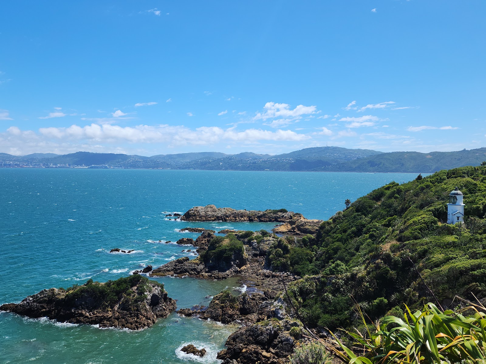 Matiu/Somes Island