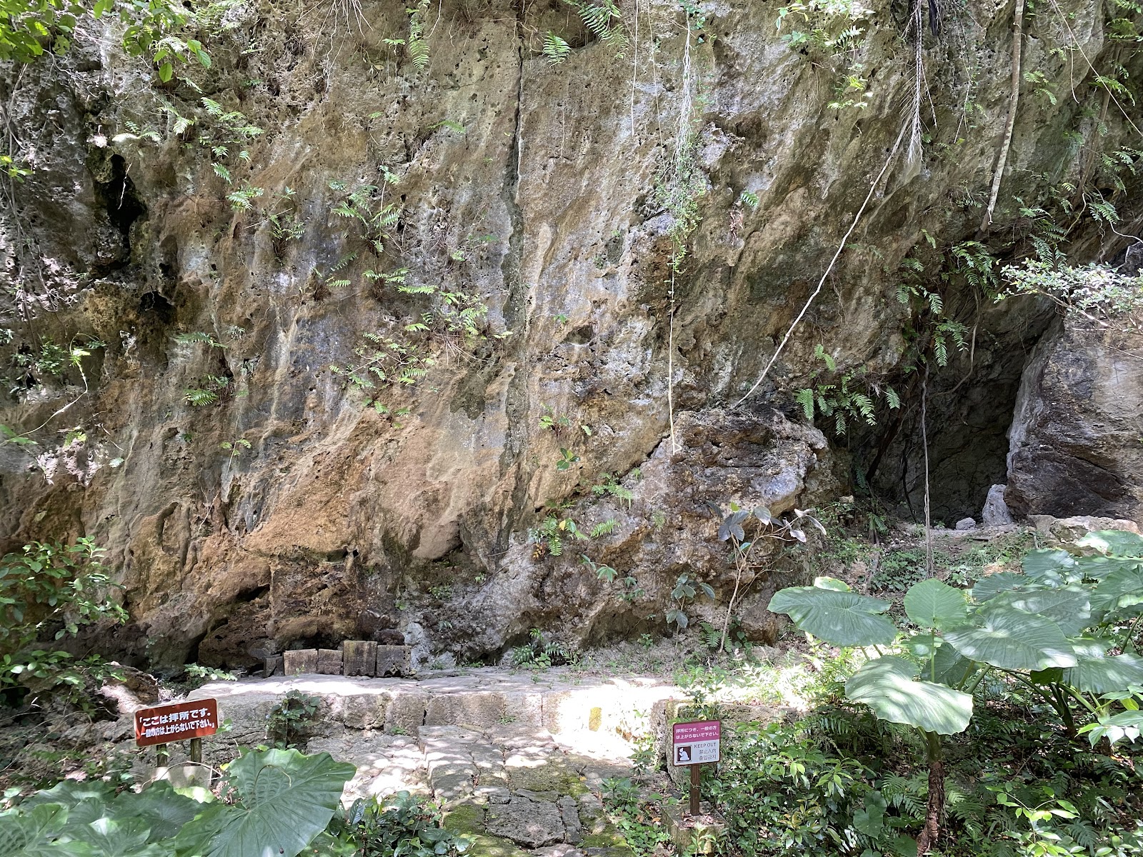 Sefa-Utaki