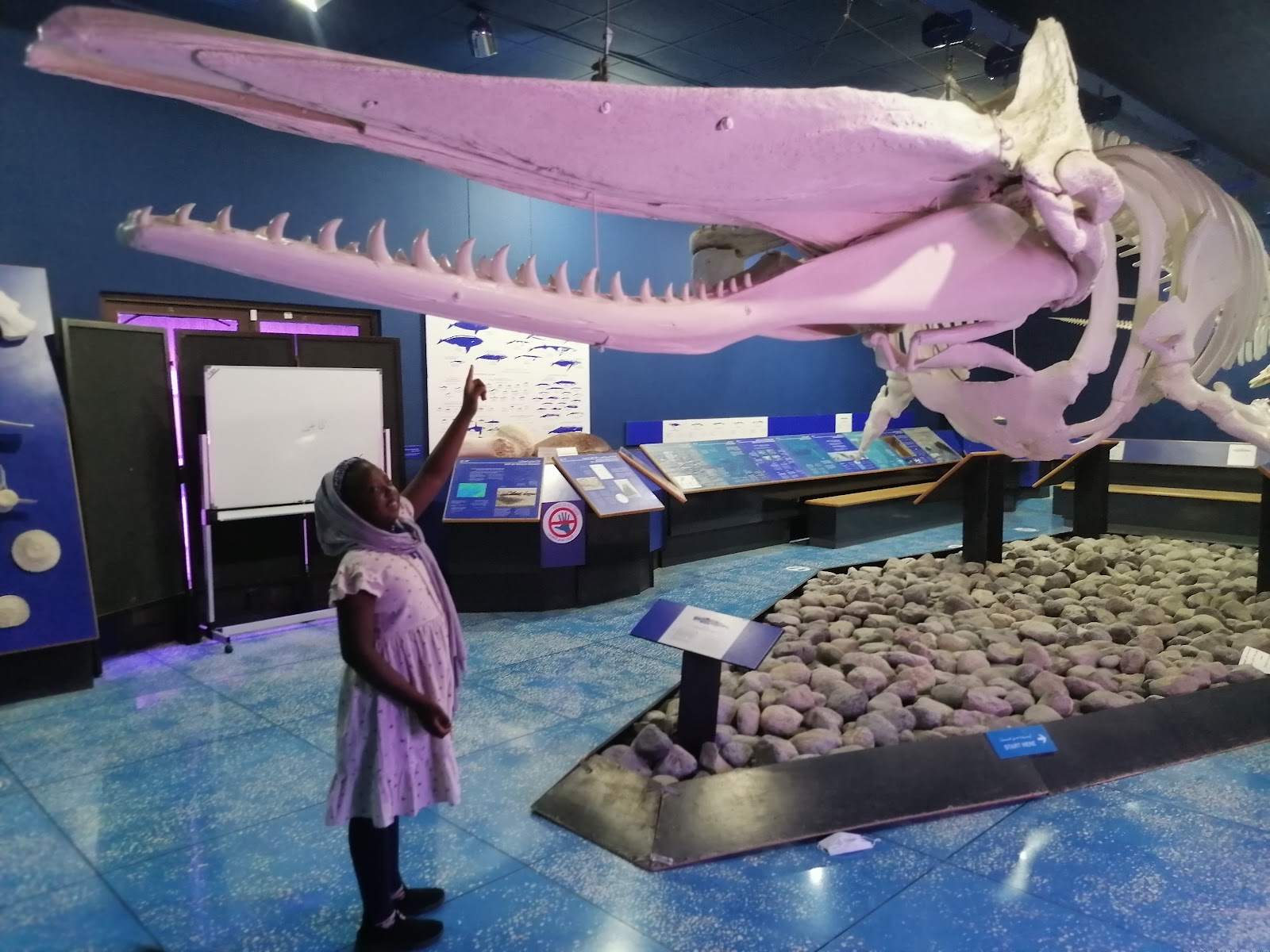 Oman Natural History Museum