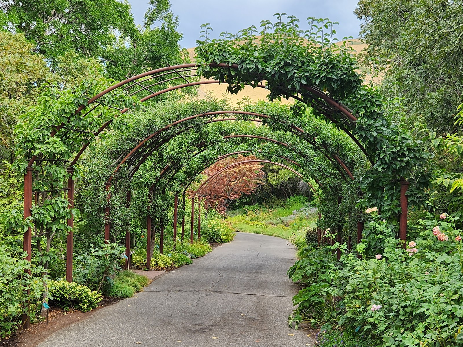 Red Butte Garden