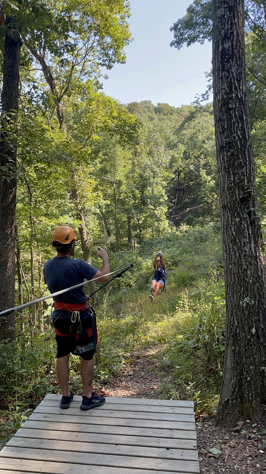 Branson Tree Top Adventure photo 2