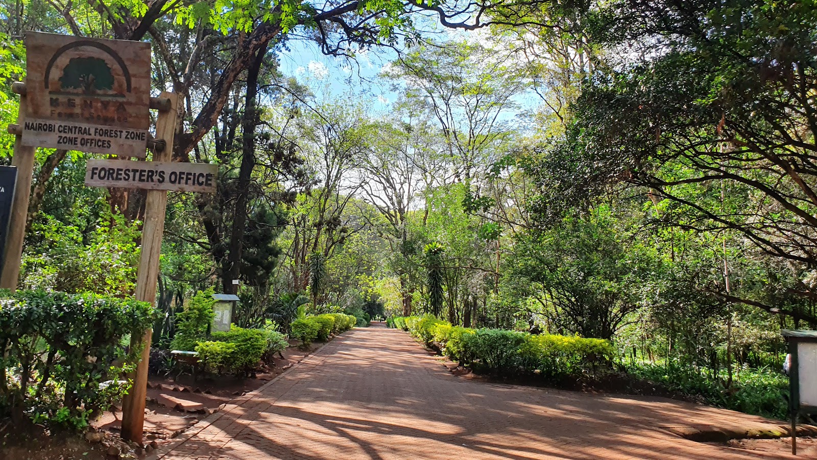Nairobi Arboretum