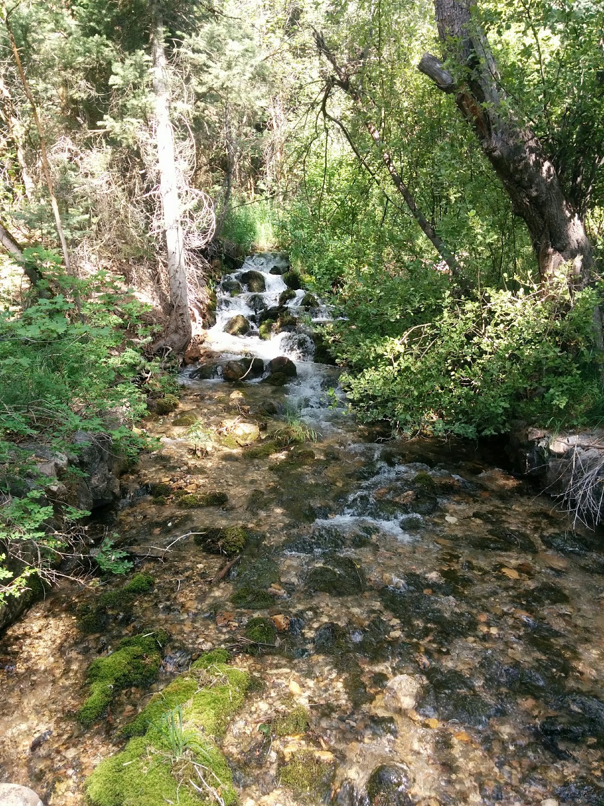City Creek Canyon