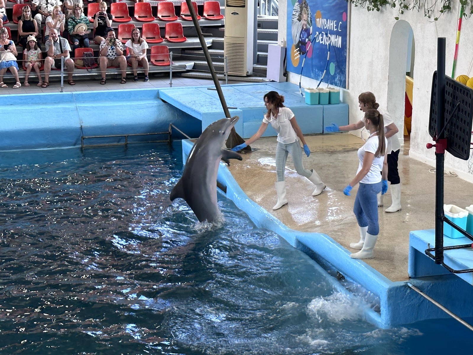 Varna Dolphinarium