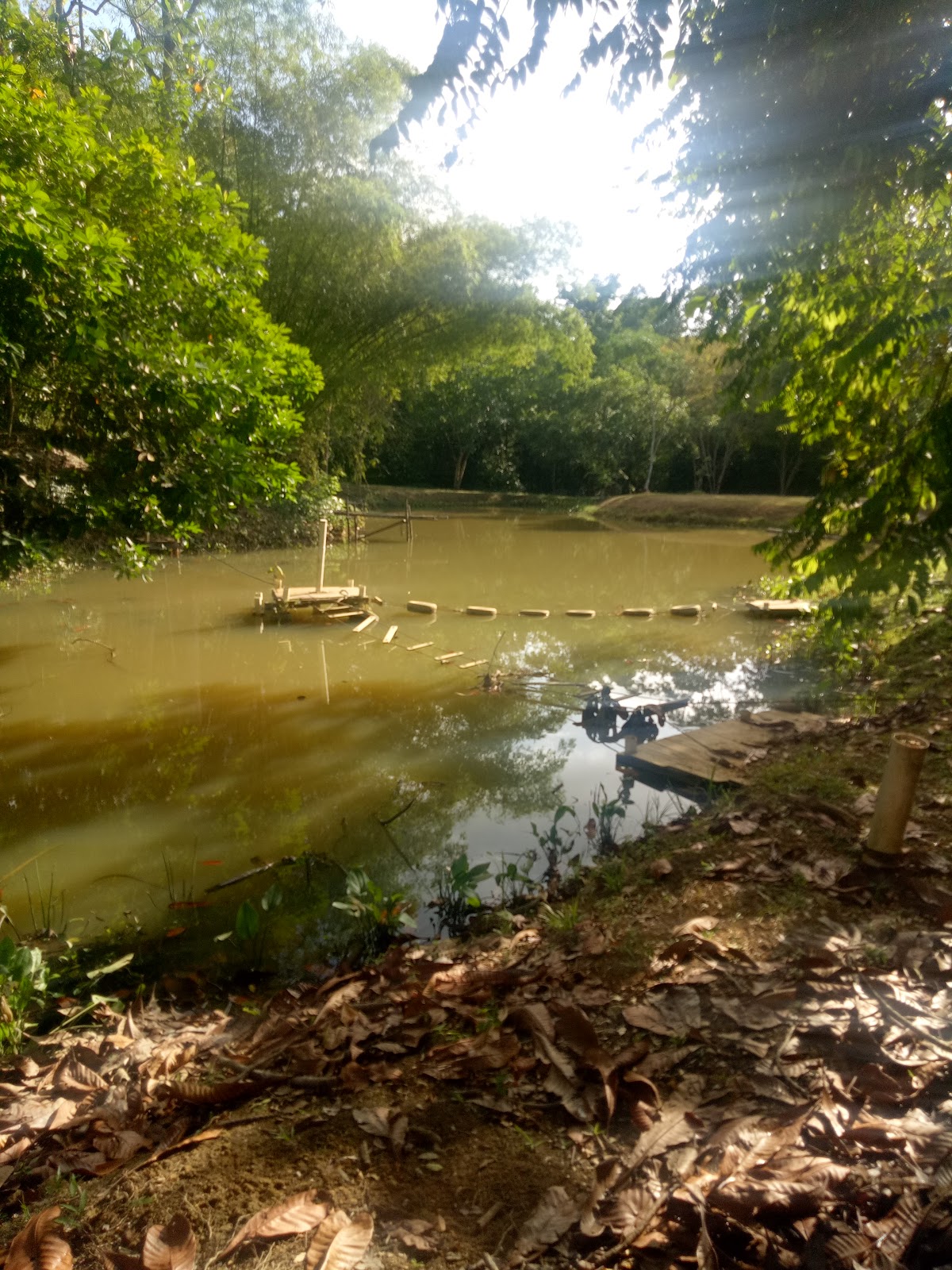 Hutan Bandar Recreational Park