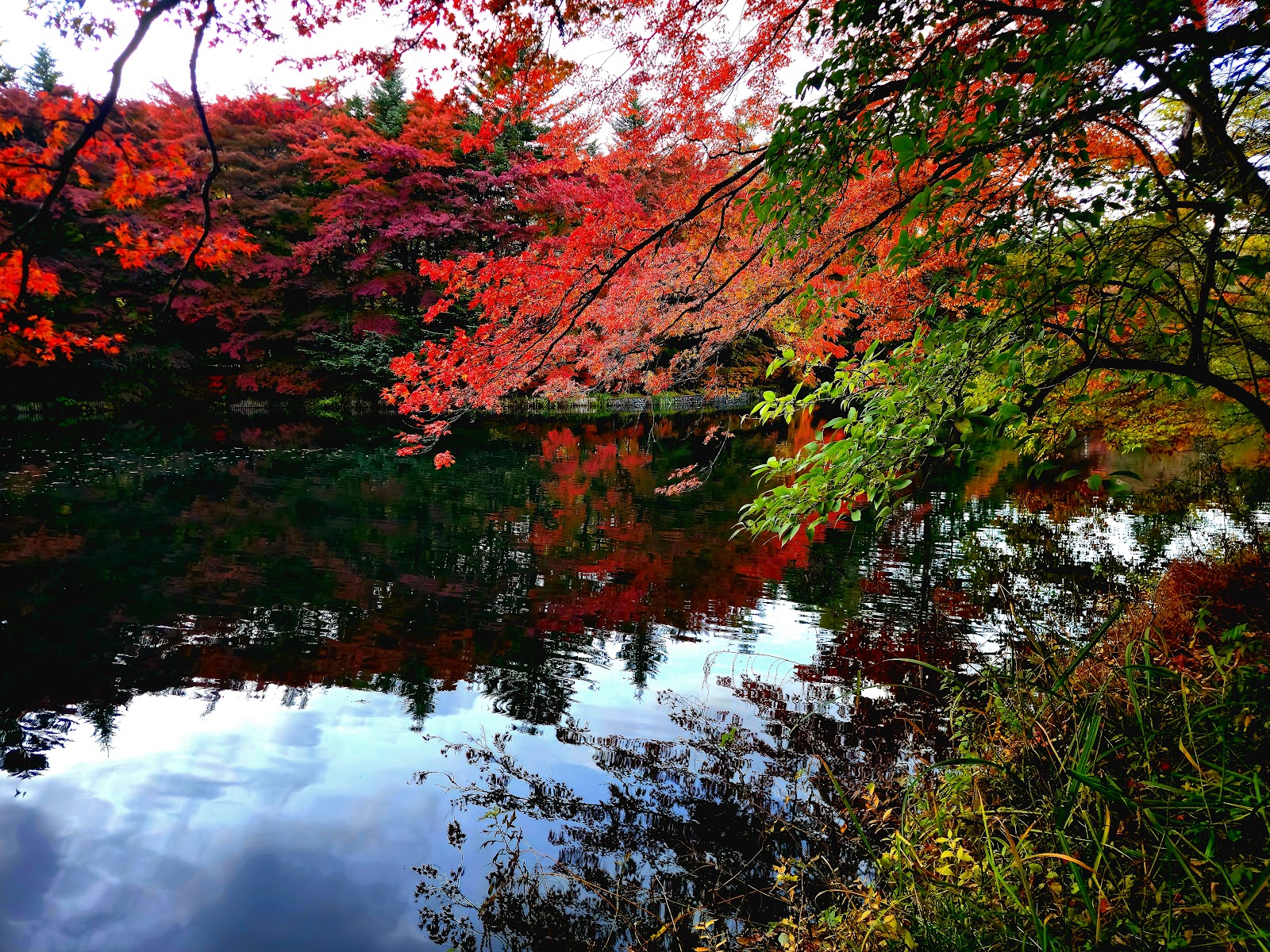 Kumoba-ike Pond