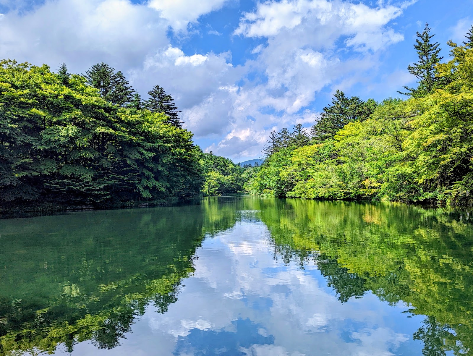 Kumoba-ike Pond photo 2