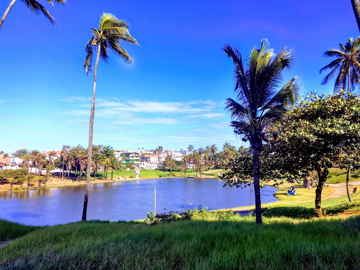 Parque Metropolitano de Pituaçu