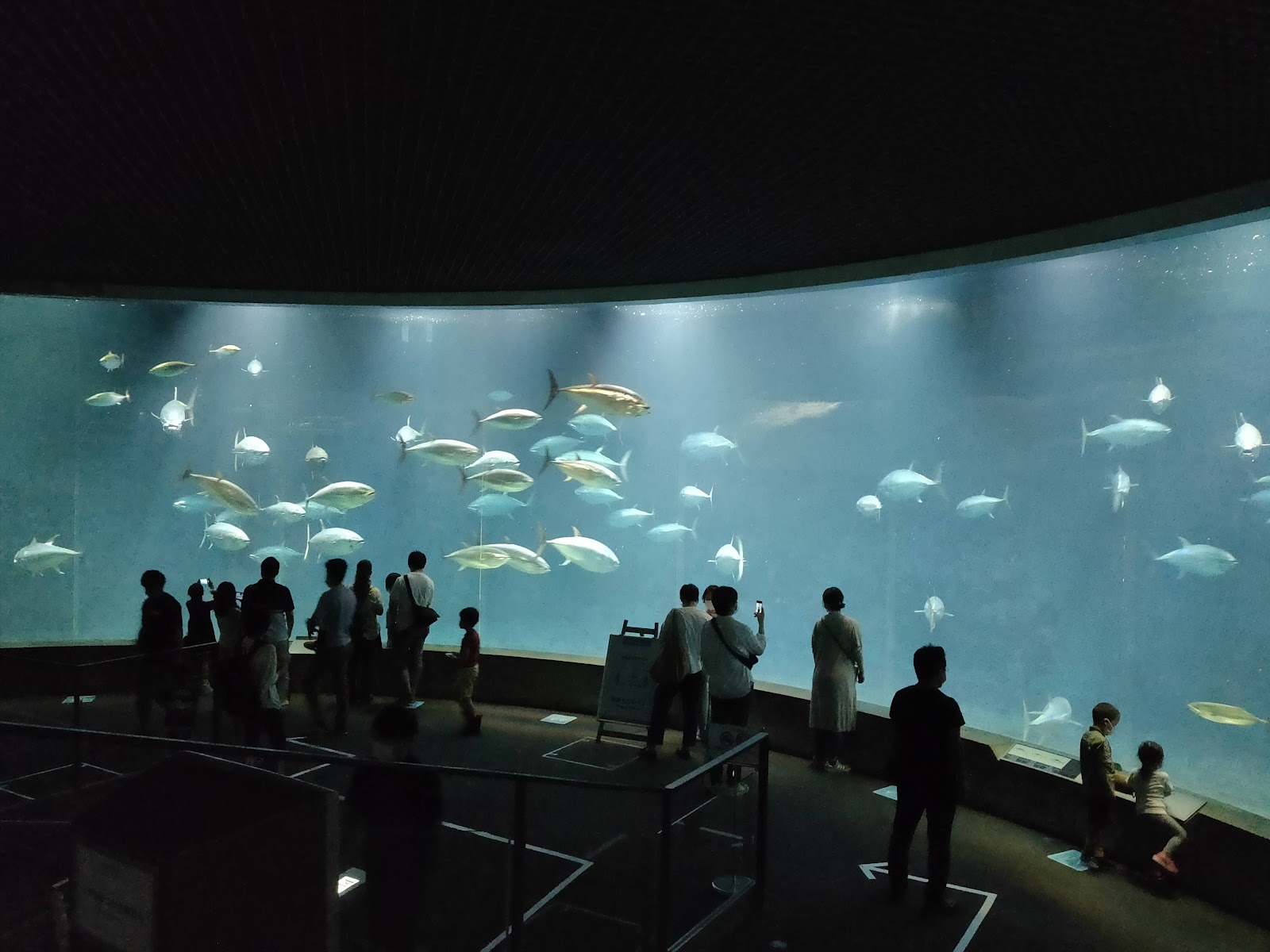 Tokyo Sea Life Park photo 2