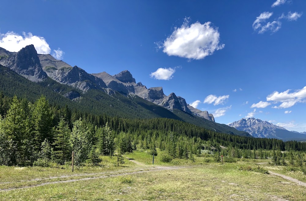 Canmore Nordic Centre Provincial Park photo 3