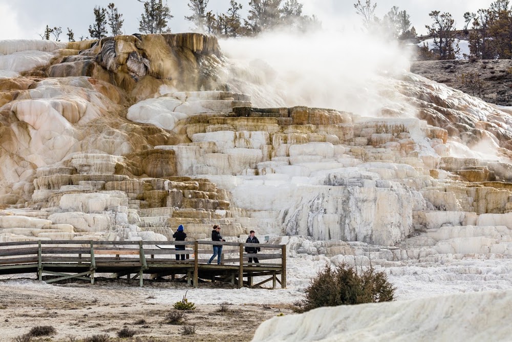 Mammoth Hot Springs photo 3