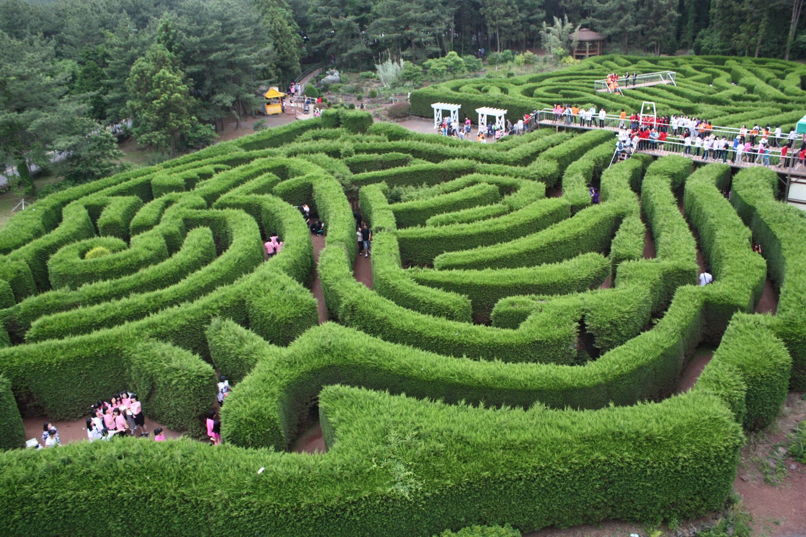Jeju Kimnyoung Maze Park