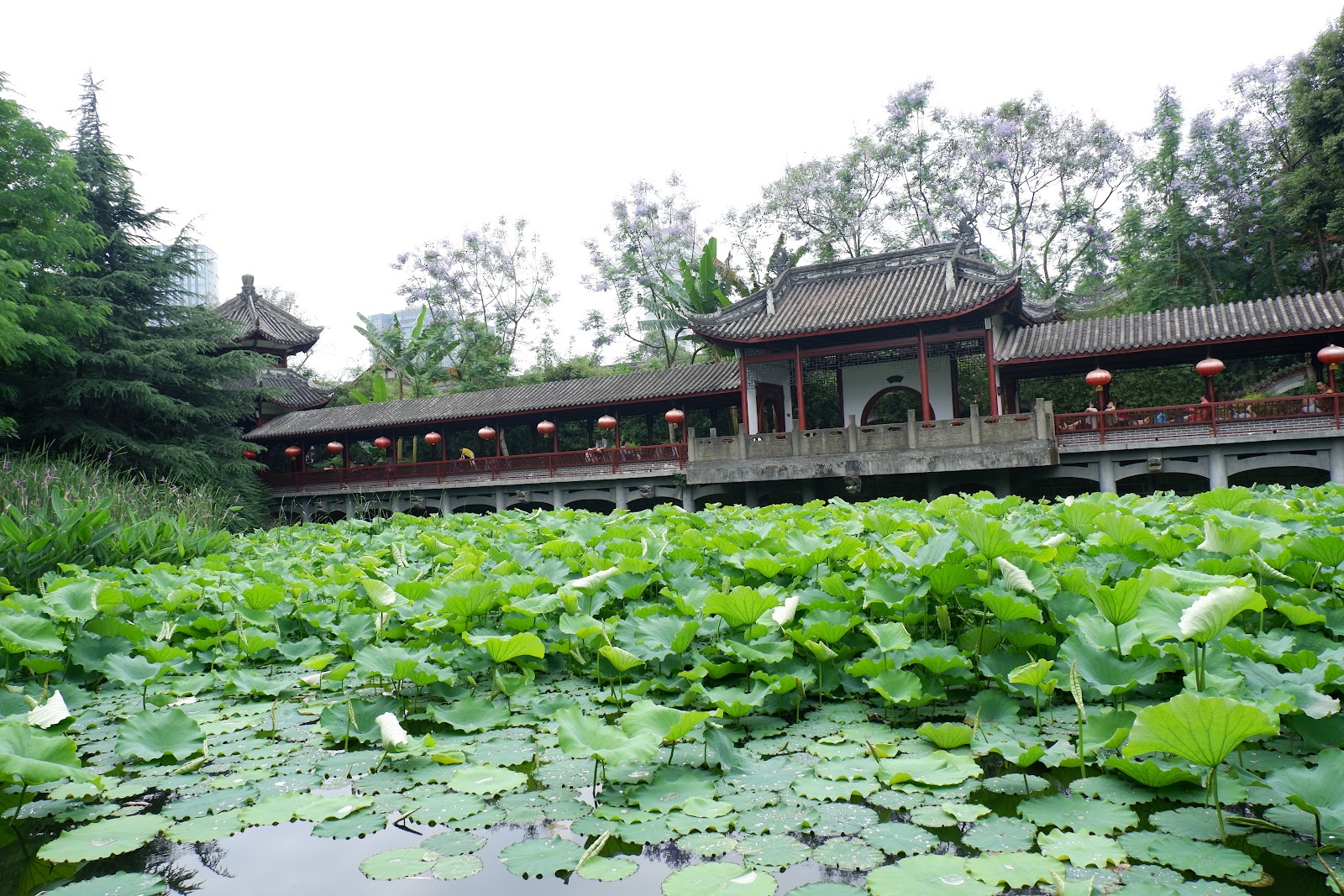Chengdu Culture Park