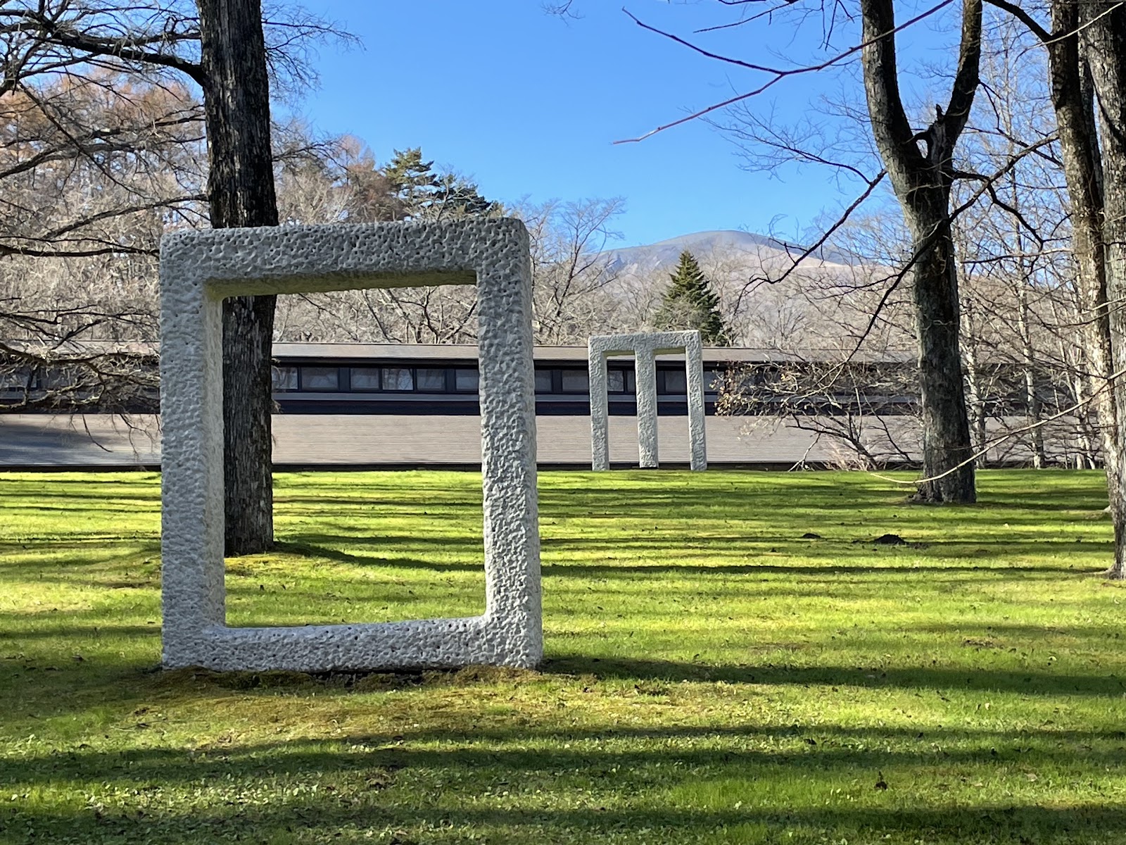 Sezon Museum of Modern Art photo 3