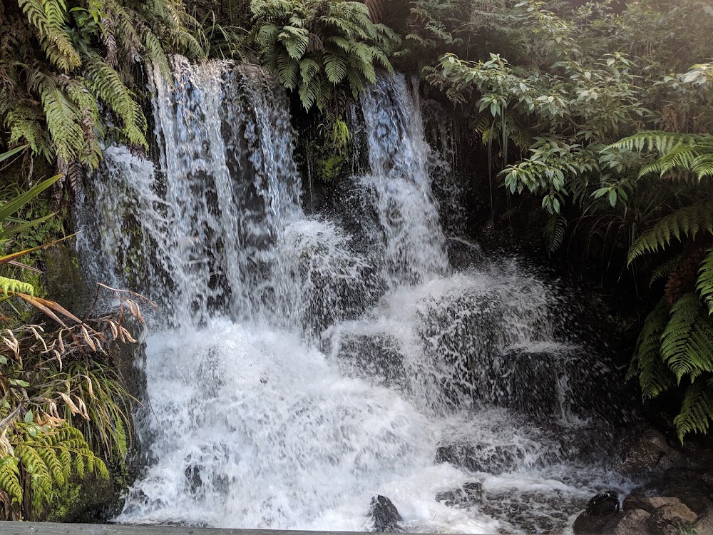 Rainbow Springs Nature Park photo 2