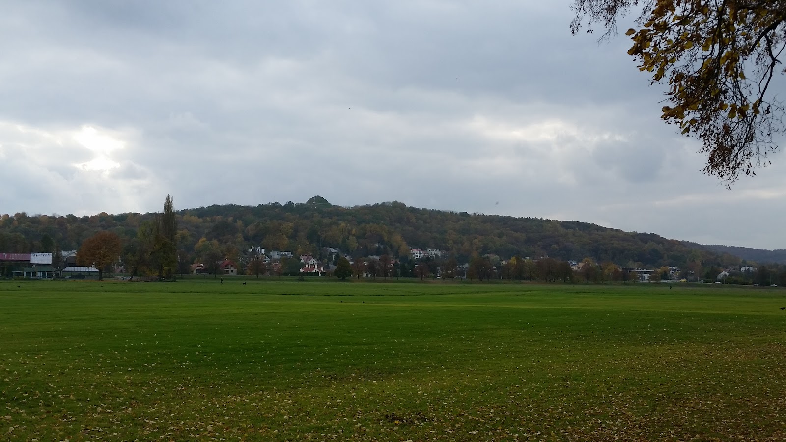 Błonia Park