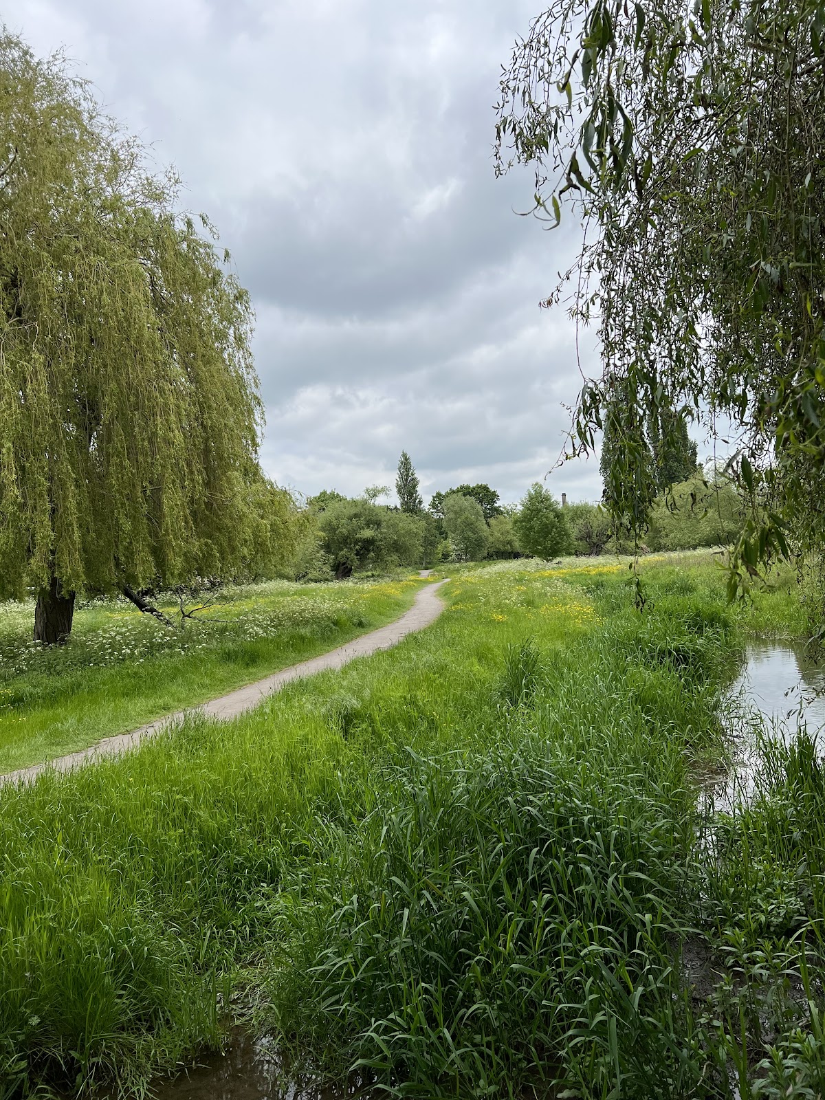 Sheeps Green photo 2