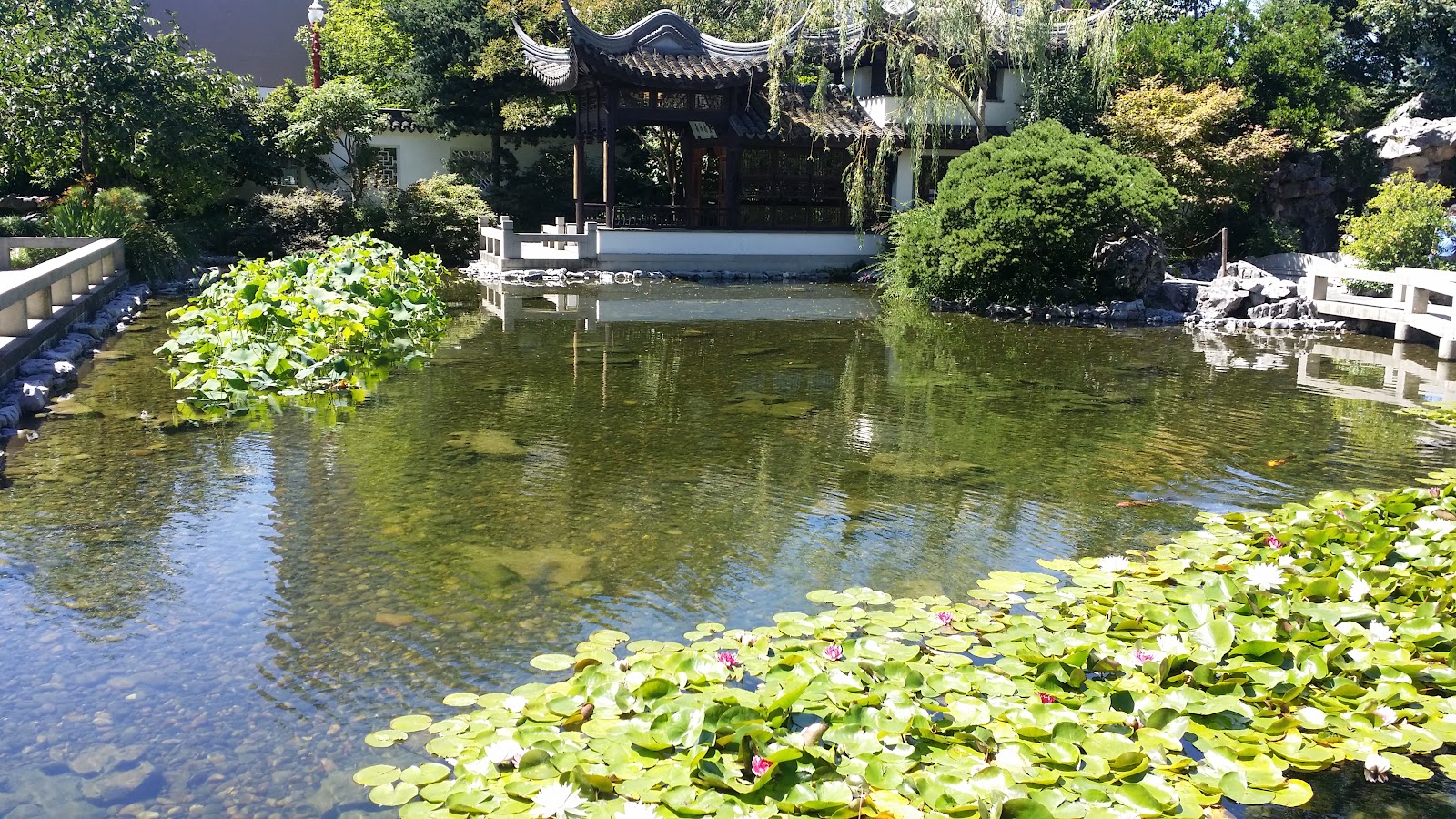 Lan Su Chinese Garden photo 3