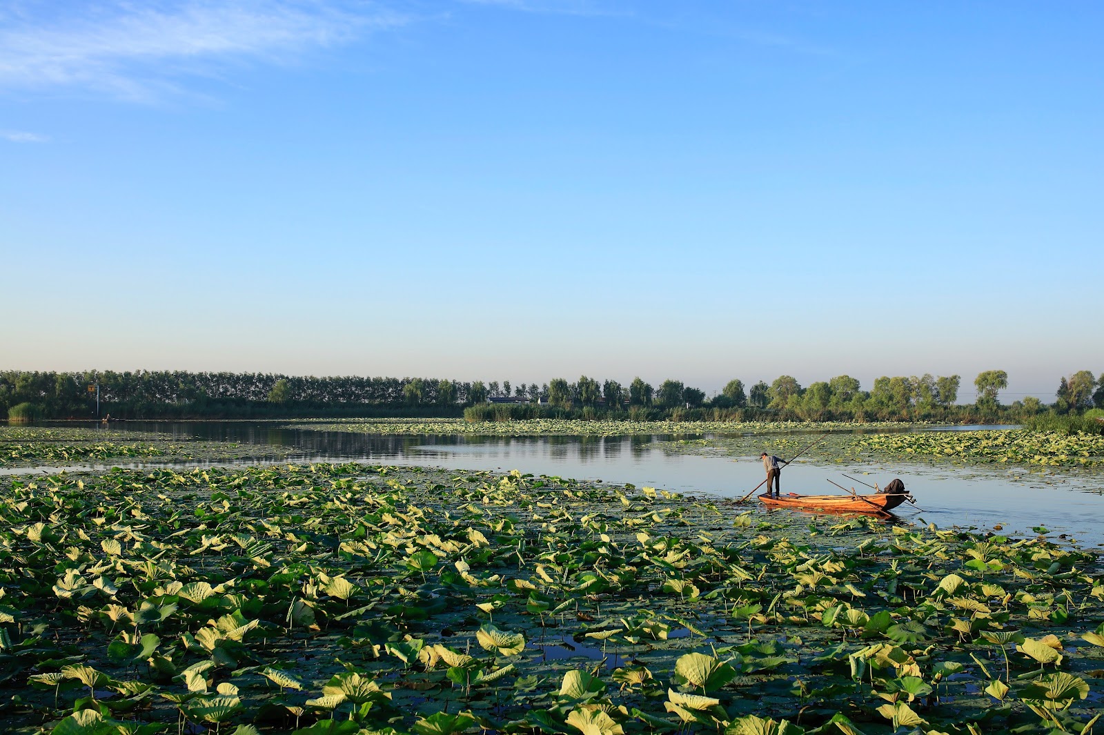 Baiyangdian Lake