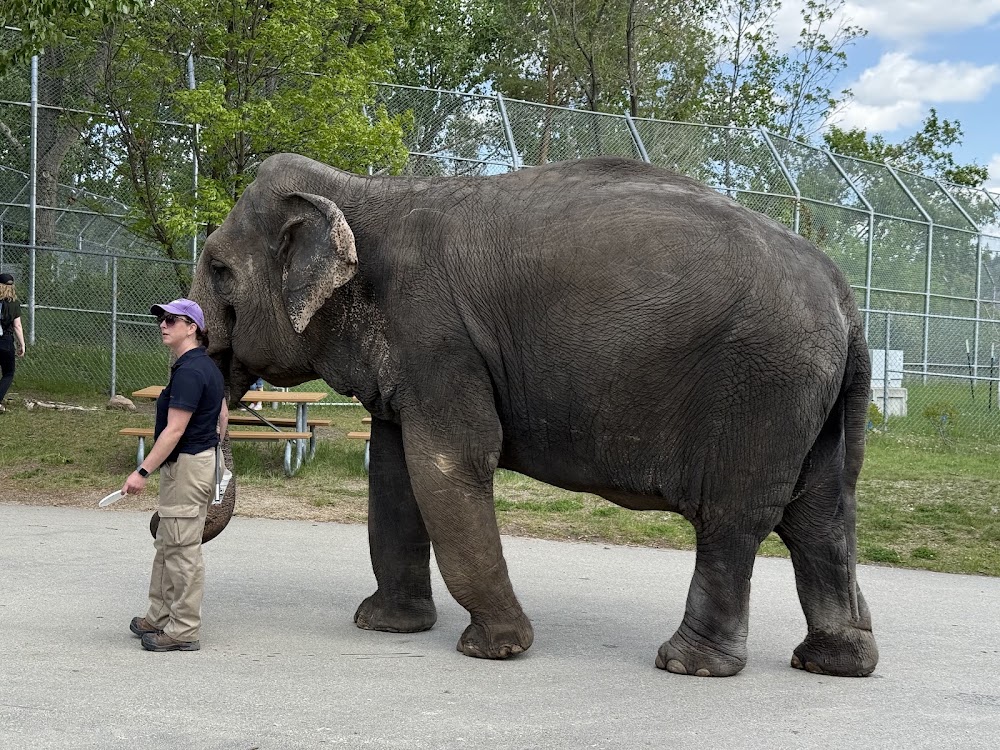 Edmonton Valley Zoo photo 3