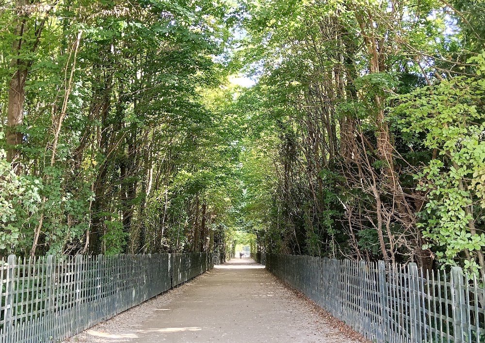 Bosquet du Dauphin