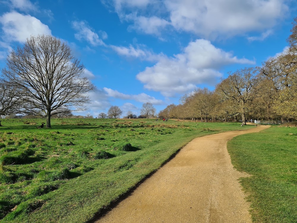 Richmond Park photo 3