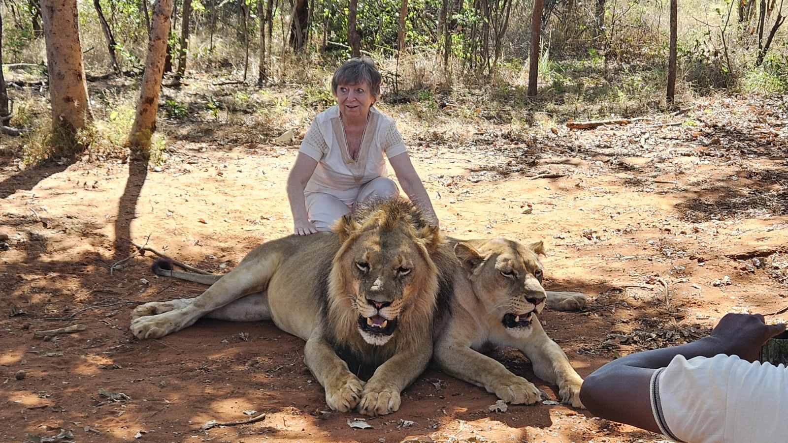 Mukuni Big 5 Safaris