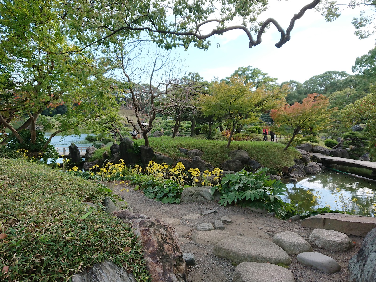 Kiyosumi Gardens photo 2