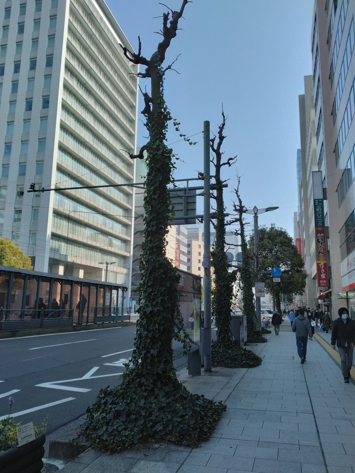Hiroshima City Naka Ward Office Observatory