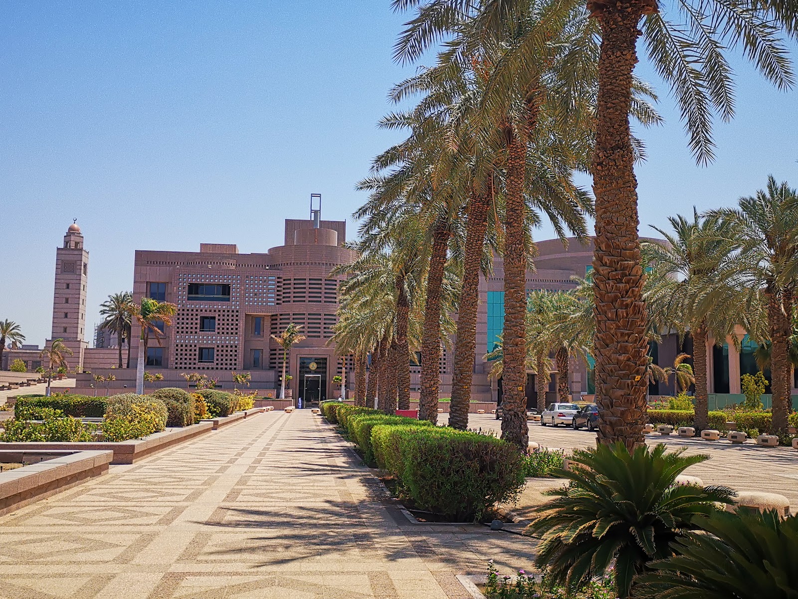 King Abdulaziz University