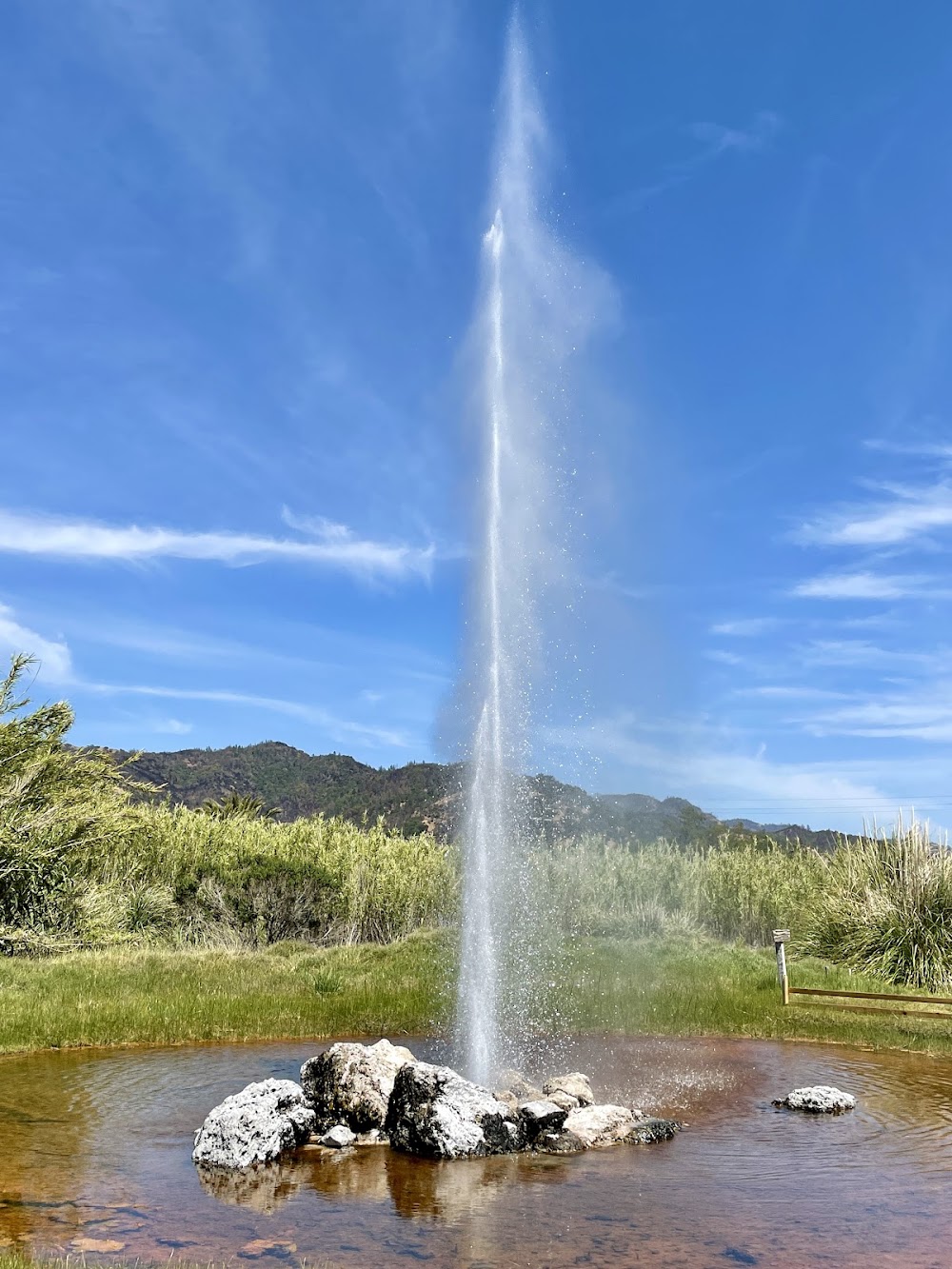Old Faithful Geyser of California photo 3