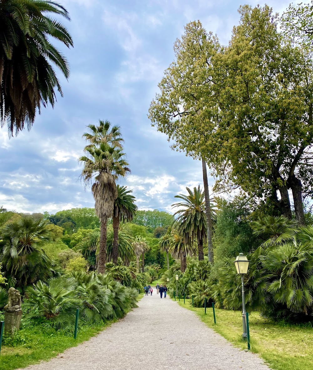 Orto Botanico di Roma photo 3