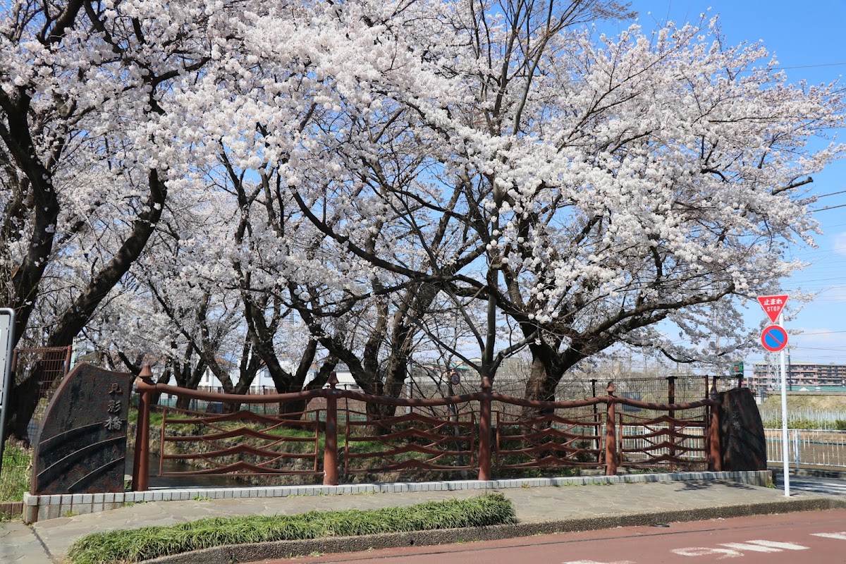 Tamagawa Josui