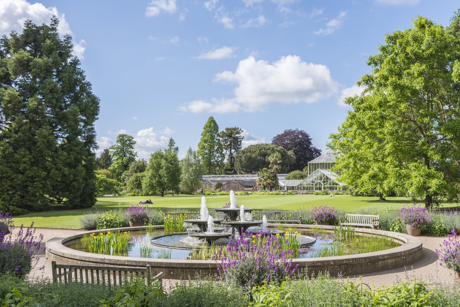 Cambridge University Botanic Garden photo 2