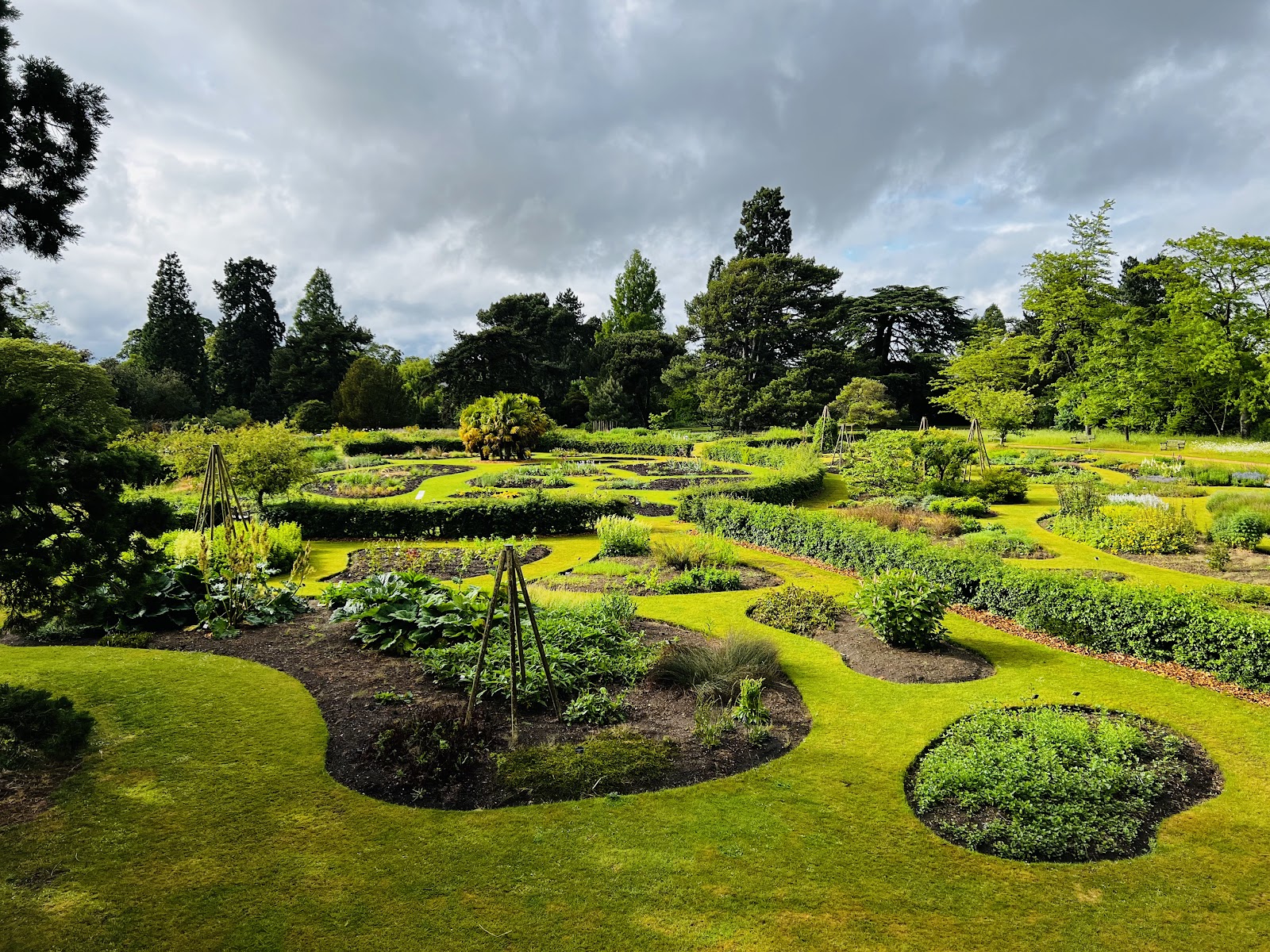 Cambridge University Botanic Garden photo 3