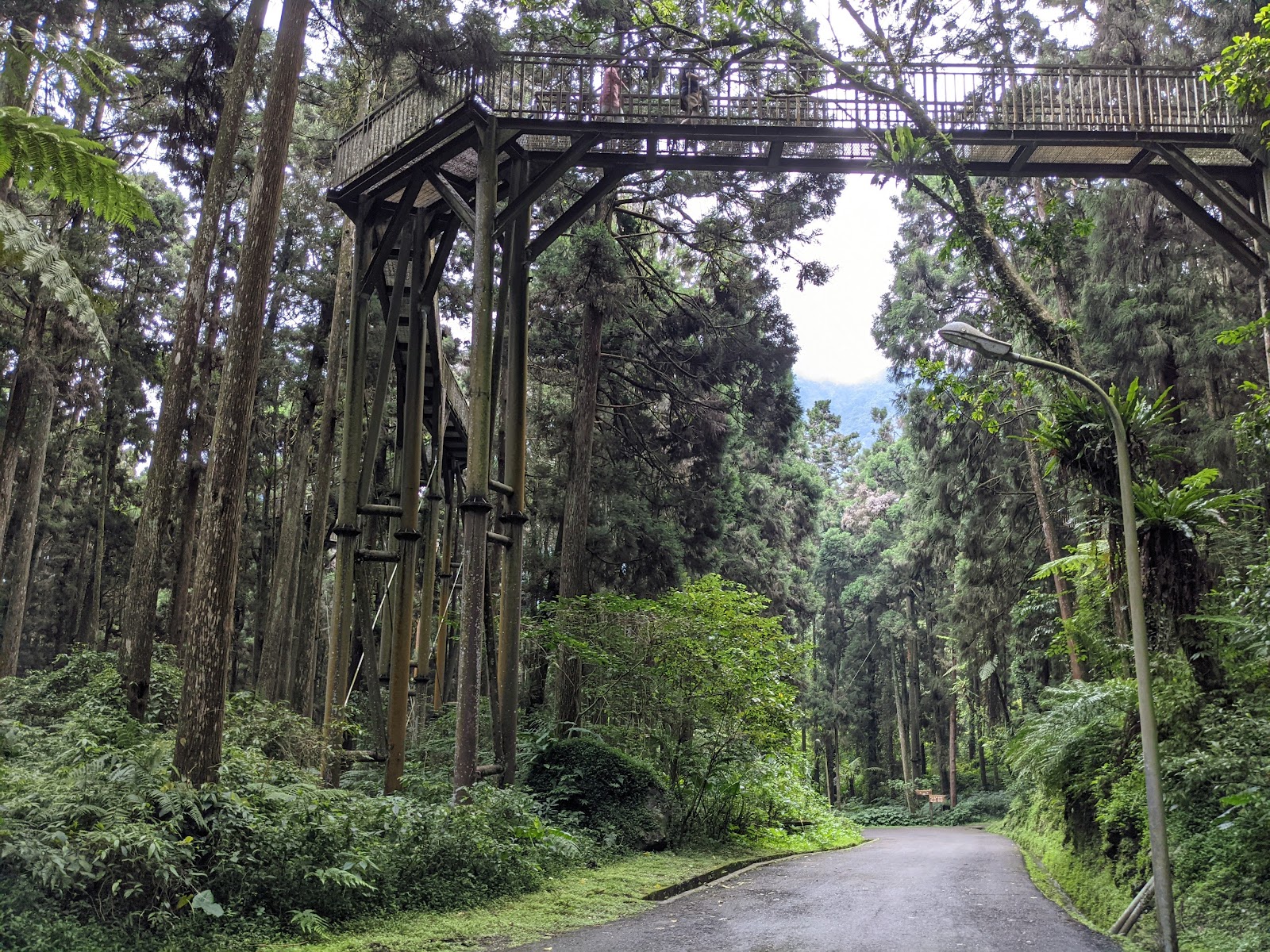 Xitou Nature Education Area photo 2