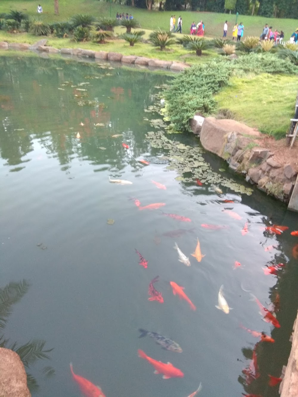 P L Deshpande Garden photo 3