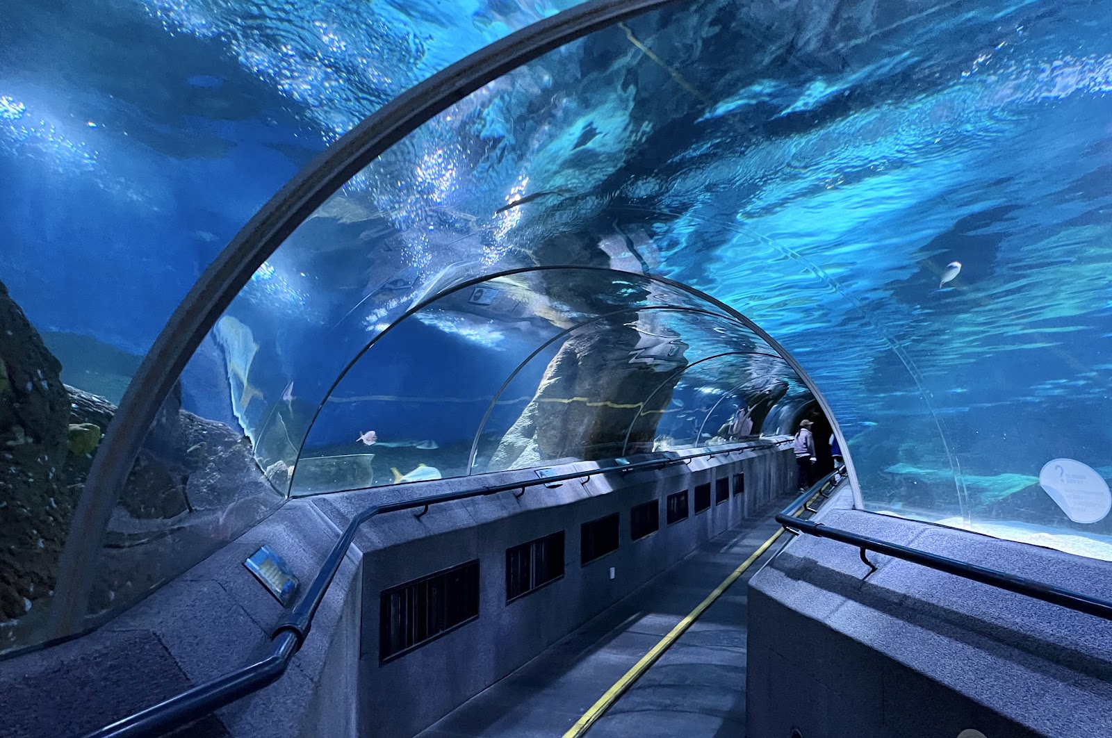 Dalian Polar Aquarium