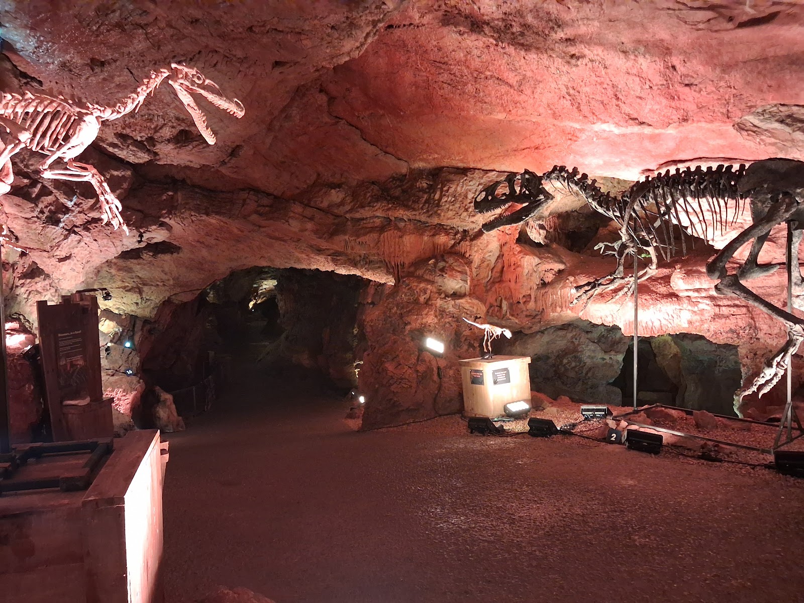 Kents Cavern photo 3