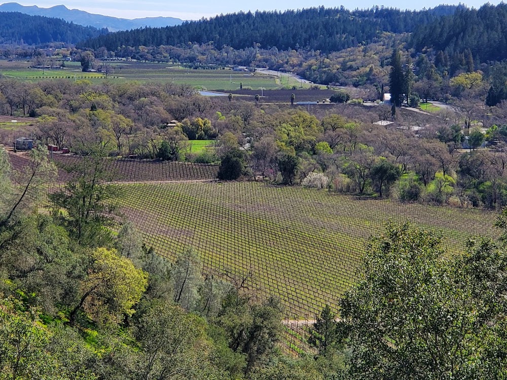 Sterling Vineyards photo 2