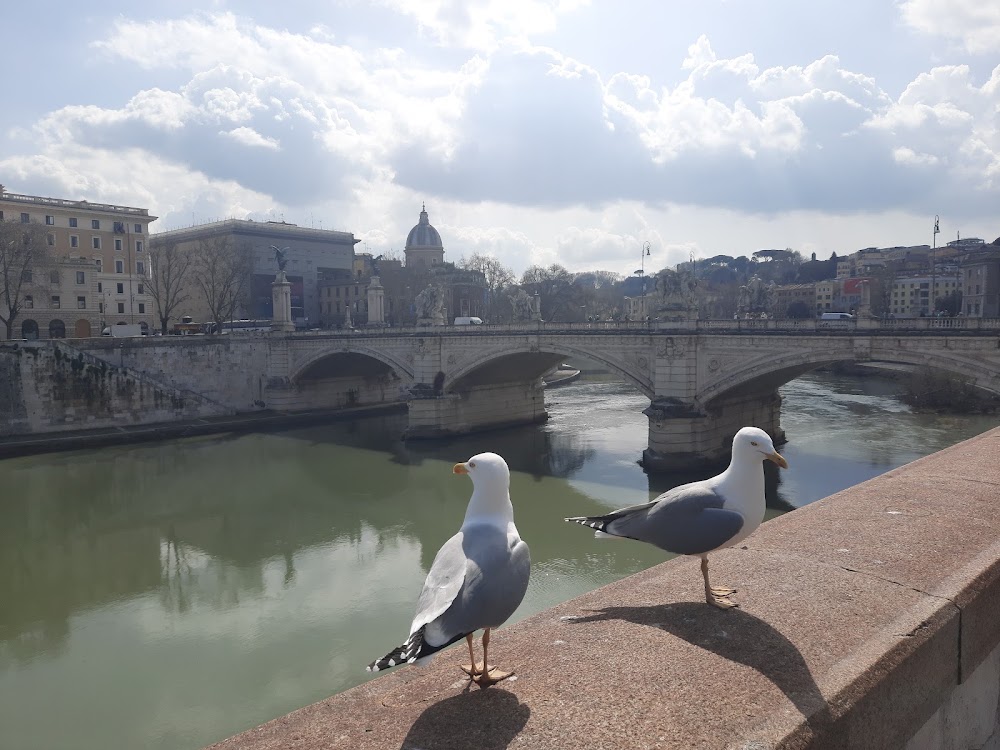 Tiber River Walk photo 2