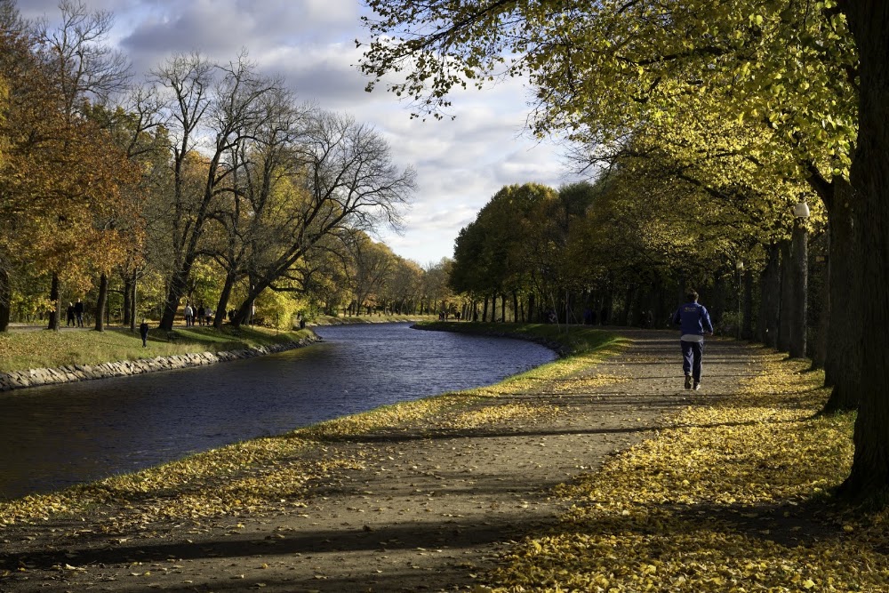 The Royal National City Park photo 2