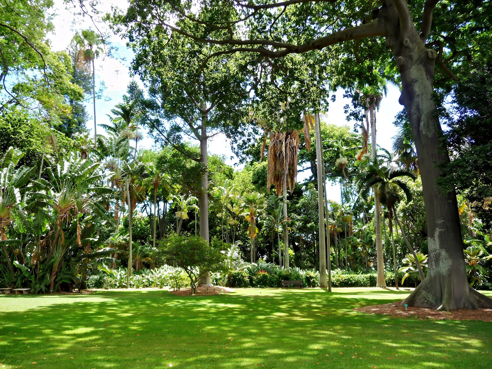 Foster Botanical Garden