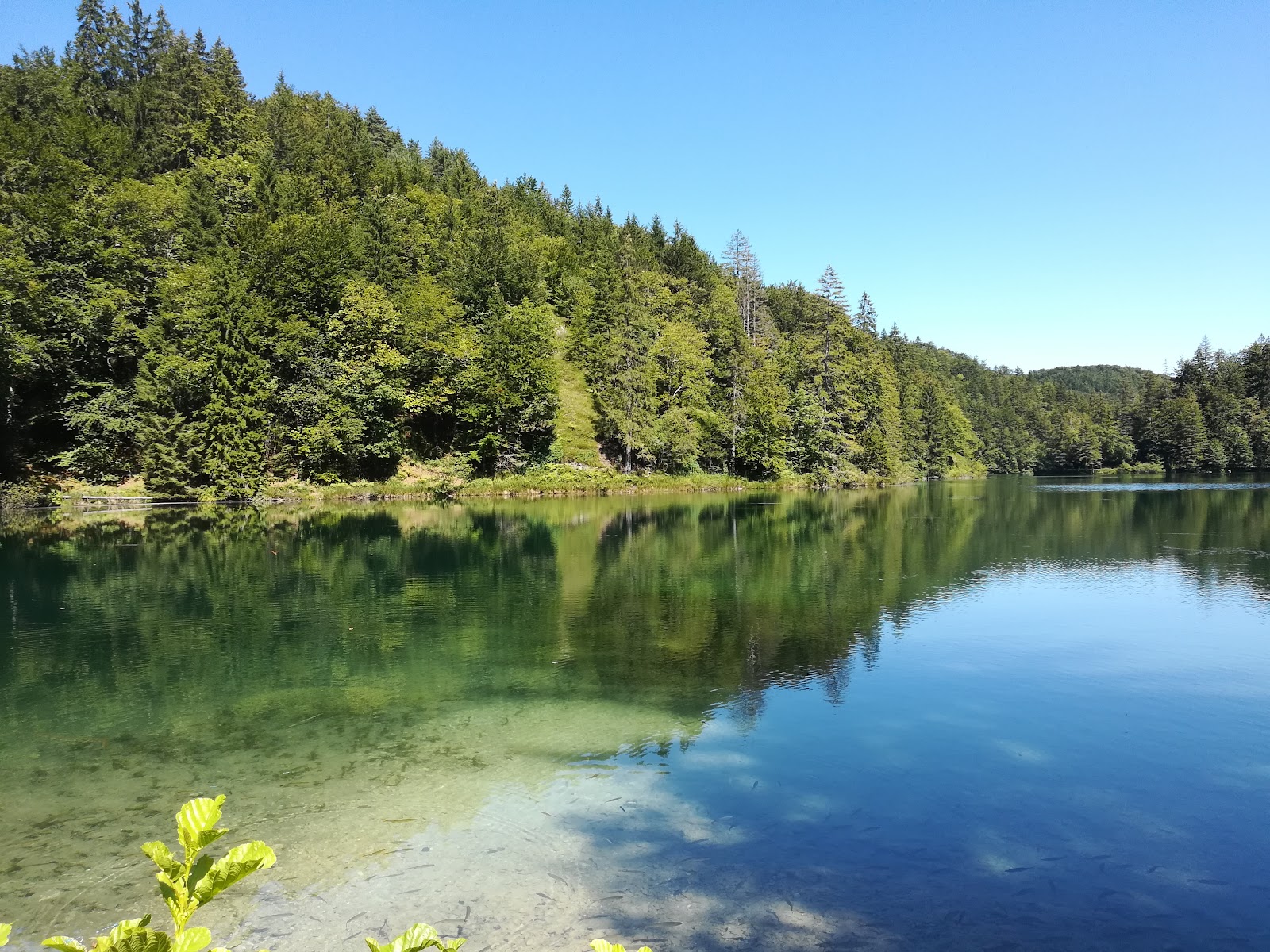 Prošćansko Jezero