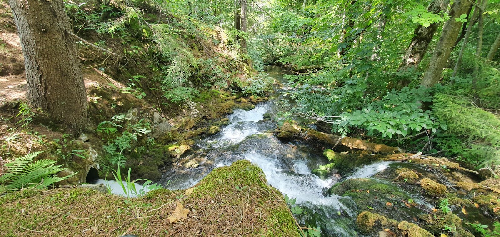 Prošćansko Jezero photo 3