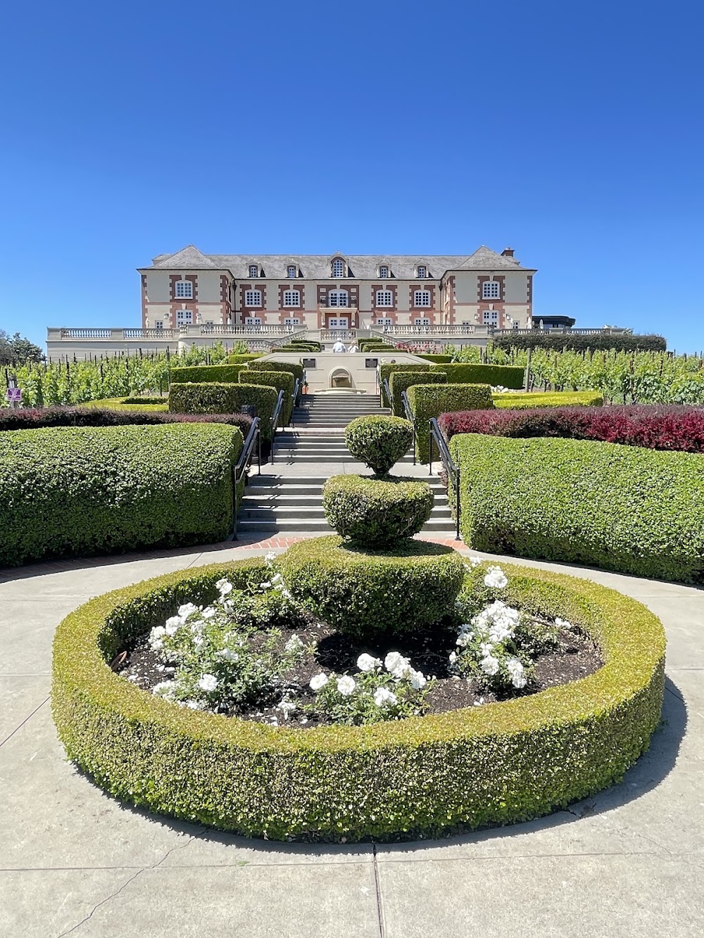 Domaine Carneros photo 2