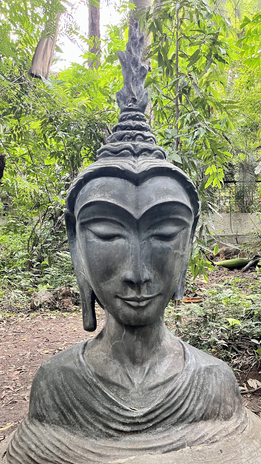 Osho Garden photo 3