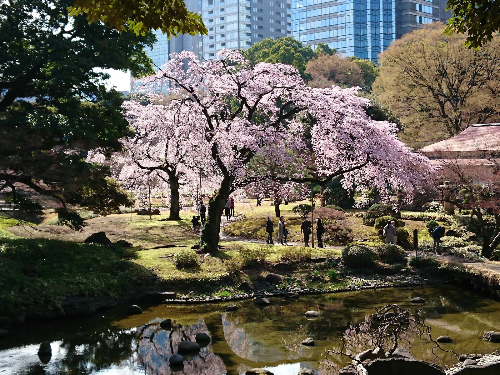 Koishikawa Korakuen Gardens