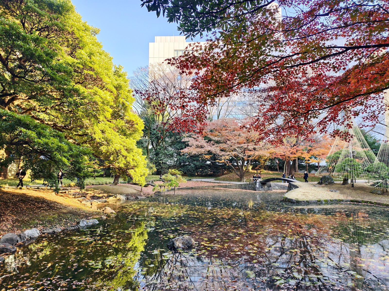 Koishikawa Korakuen Gardens photo 2