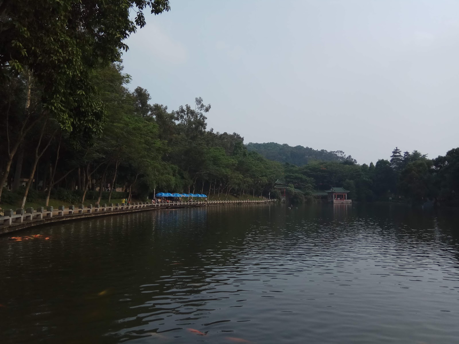 Qifeng Park